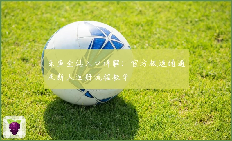 乐鱼全站入口详解：官方极速通道及新人注册流程教学