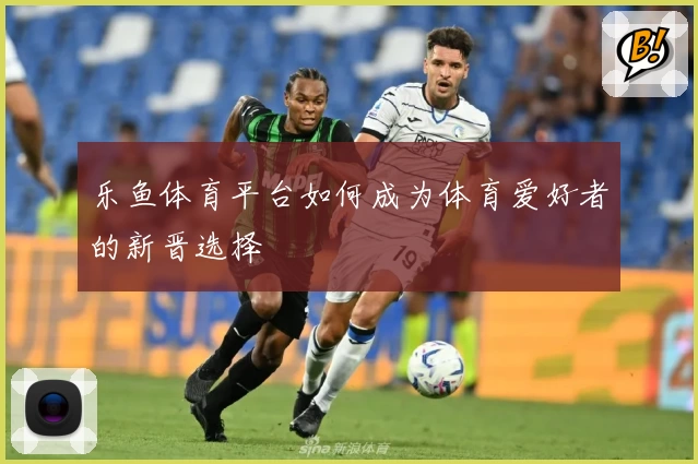 乐鱼体育平台如何成为体育爱好者的新晋选择