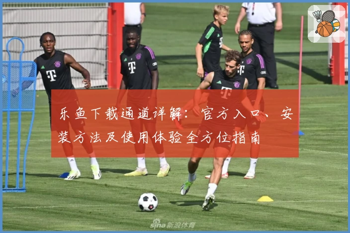 乐鱼下载通道详解:官方入口、安装方法及使用体验全方位指南